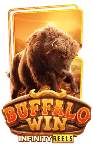 buffalo-win -RICCO888